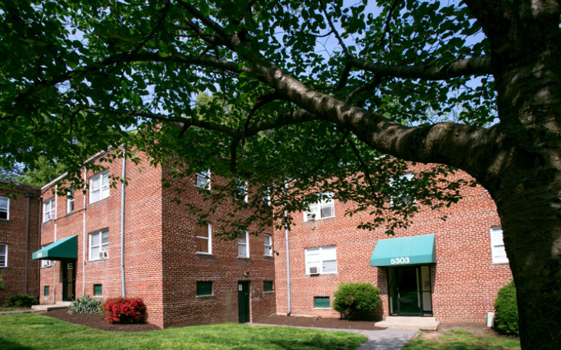 terrace-green-82 terrace-green-82